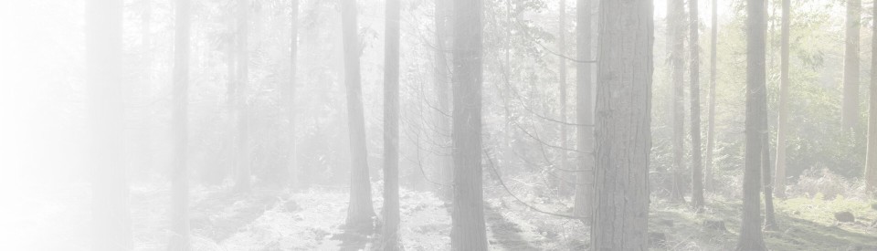 Zadbaj o Swoje zdrowie już dziś